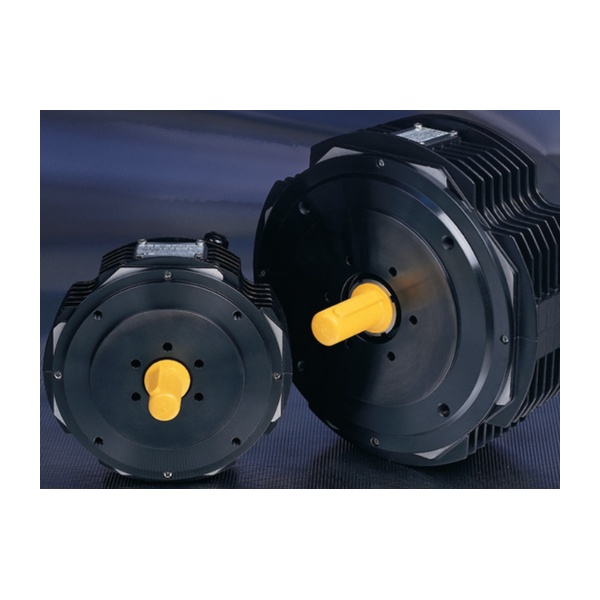 DC Servo Motors MSS Series